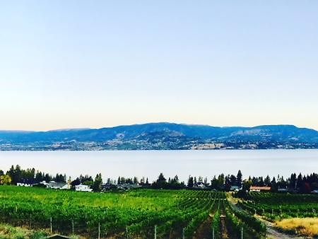 Summerhill Estate House Bed and Breakfast Kelowna Buitenkant foto