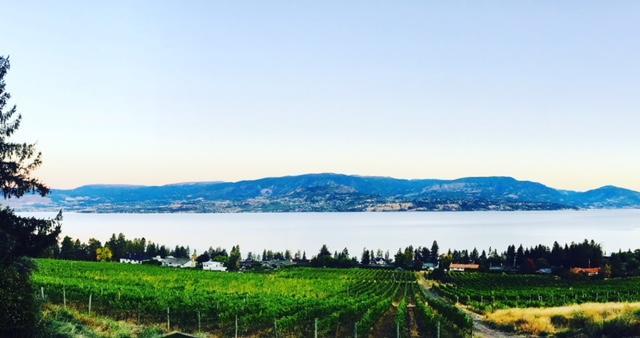 Summerhill Estate House Bed and Breakfast Kelowna Buitenkant foto