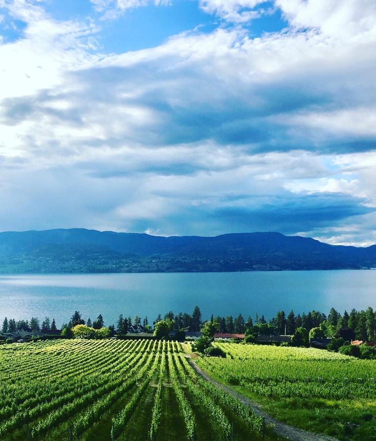 Summerhill Estate House Bed and Breakfast Kelowna Buitenkant foto